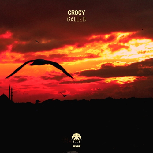 Crocy - Galleb [BP11022022]